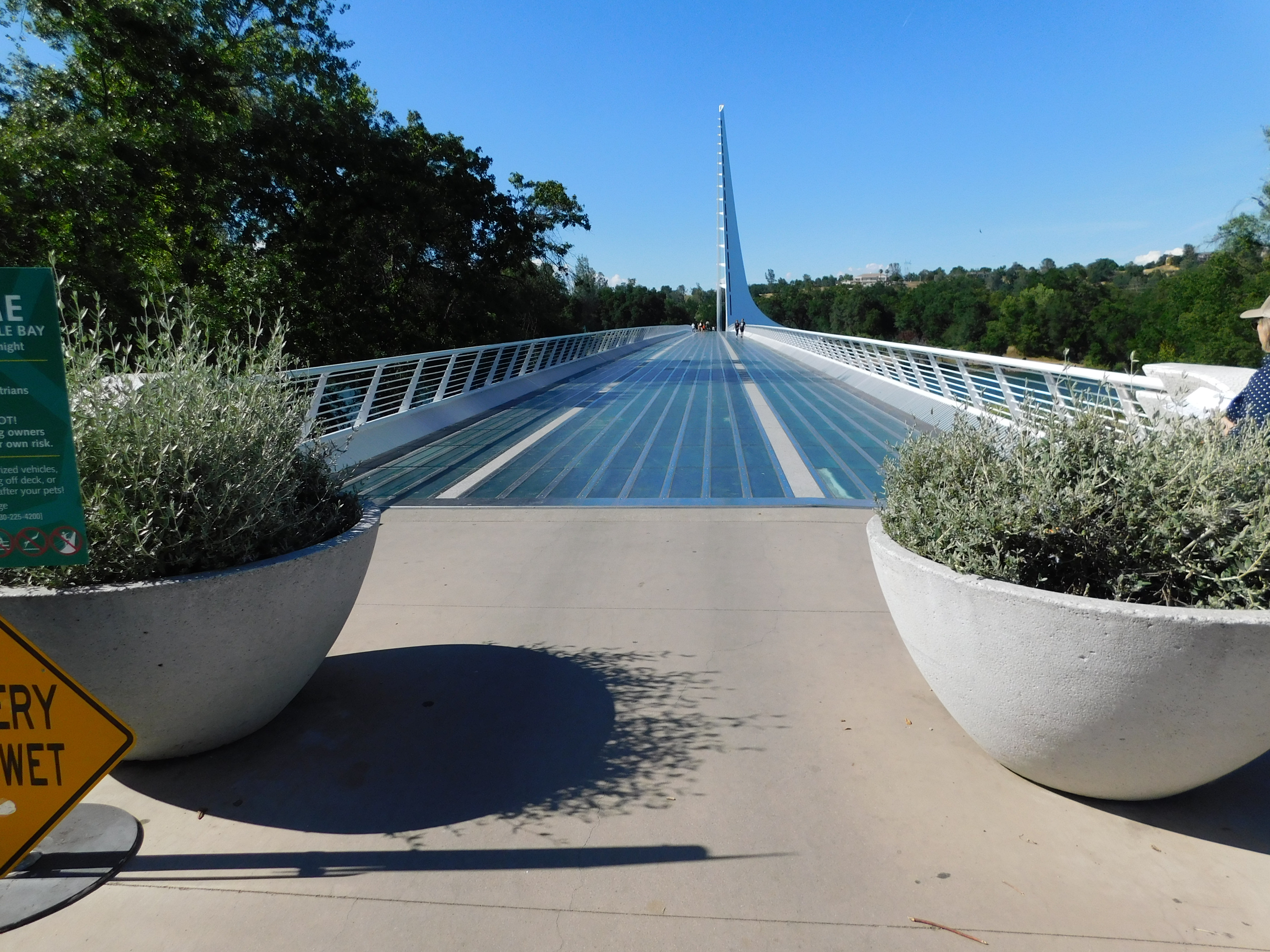 The Sundial Bridge at Turtle Bay